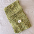 Autumn and winter gg letter cloth label soft glutinous melancho knitted small scarf women's Korean version of the versatile green warm scarf little red book.