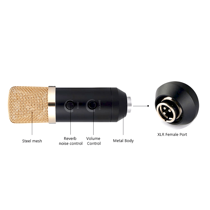 BM-100FX%20Condenser%20Microphone%20Studio%20Mic%20BM100FX%20Audio%20Editing%20Music%20Compose%20Vocal%20Voice%20Over%20-%20Image%204