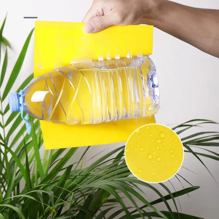 Fruit%20Fly%20Traps%20Bugs%20Yellow%20Sticky%20Board%20Pest%20Control%20Insect%20Killer%20Two-sided%20Glue%20Paper%20Trap%20For%20Kill%20Pest%20-%20Image%208