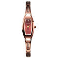 Di Shi Du's New Non fully Automatic Mechanical Watch Women's Oval Watch Women's Quartz Watch Waterproof Tungsten Steel Color Compact. 