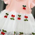 Baby Summer Embroidery Dress. 