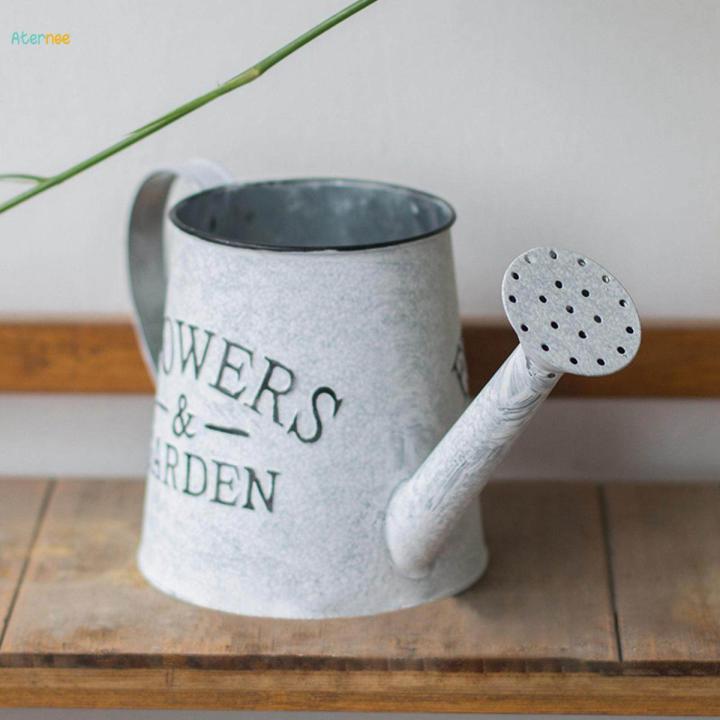 Planter Pot with Handle Hanging Planters Bonsai Pots for Countryside Outdoor Home Garden