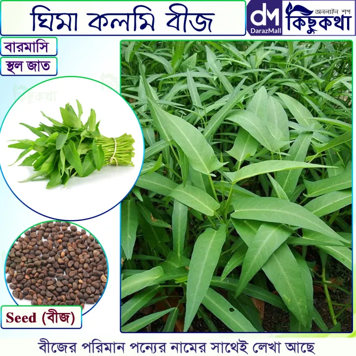 Seks ona va ogli sikish Azolar porno ustida