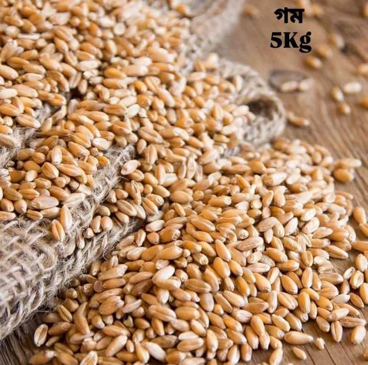 Organic%20Wheat%20Grain%20(%E0%A6%97%E0%A6%AE%E0%A7%87%E0%A6%B0%20%E0%A6%A6%E0%A6%BE%E0%A6%A8%E0%A6%BE%20)%205Kg%20-%20Image%205