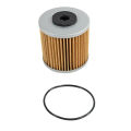 2Set Transmission Filter with O-Ring for Hydro Gear 71943.