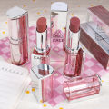 Matte Velvet Lipstick Waterproof Lasting Easy To Wear Non-stick Cup Red Lip Tint Long Lasting Pink Lipsticks. 