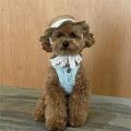 New Elegant Pet Woven Straw Hat for Cat Sun Hat Ribbon for Small Dogs and Cats Beach Party Straw Costume Accessories To Act Cute. 