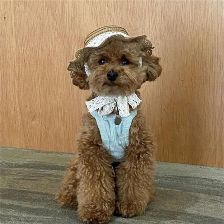 New%20Elegant%20Pet%20Woven%20Straw%20Hat%20for%20Cat%20Sun%20Hat%20Ribbon%20for%20Small%20Dogs%20and%20Cats%20Beach%20Party%20Straw%20Costume%20Accessories%20To%20Act%20Cute%20-%20Image%205