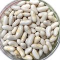 White Kidney Beans/ Rajma White- 1 kg. 
