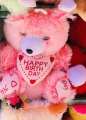1 Feet Woolen Teddy Bear Soft Doll-Happy Birthday To You - Toy.