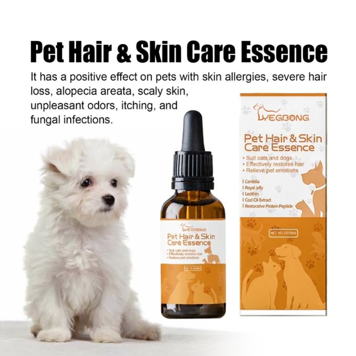 Pet%20Skin%20Repair%20Essence%20Pet%20Skin%20Care%20Pet%20Hair%20Serum%20Dog%20Hair%20Care%20Skin%20Care%20Dog%20Hair%20Serum%20Cat%20Hair%20Care%20Dog%20Skin%20Care%20B03e%20-%20Image%204