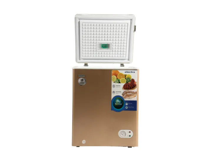 Electra%20100L%20EF-100C/J21%20Coffee%20%20Chest/Deep%20Freezer%20-%20R600a%20GAS%20-%20Image%203