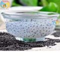 Tokma Dana Basil Seeds Pure 1kg. 