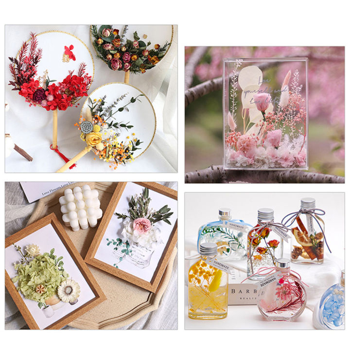 Mixed%20Multiple%20Colorful%20Dried%20Flowers%20For%20Resin%20Multicolor%20Jewelry%20Molds%20Real%20Pressed%20Dry%20Flower%20Leaves%20-%20Image%206