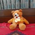 Premium quality 2.8 feet large soft  Teddy Bear. 