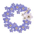 20 PCS DIY Dried Flowers Elegant Beautiful Artificial Forget-Me-Not Simple Creative Pressed Flower Decoration.