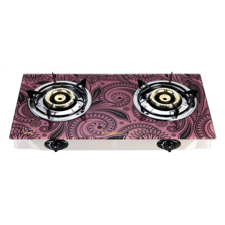 Double Burner Gas Stove