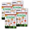 Kinoki Cleansing Detox Foot Pad - 10 Pads.