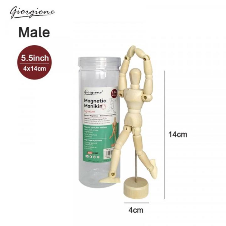 Giorgione Wooden Magnatic Manikin Male 5.5 inch