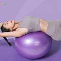 Yoga Ball, Balance Ball, Anti Burst Slip Resistant Thickened Stability Ball for Woman, Training, Competition, Practice Fitness Ball.