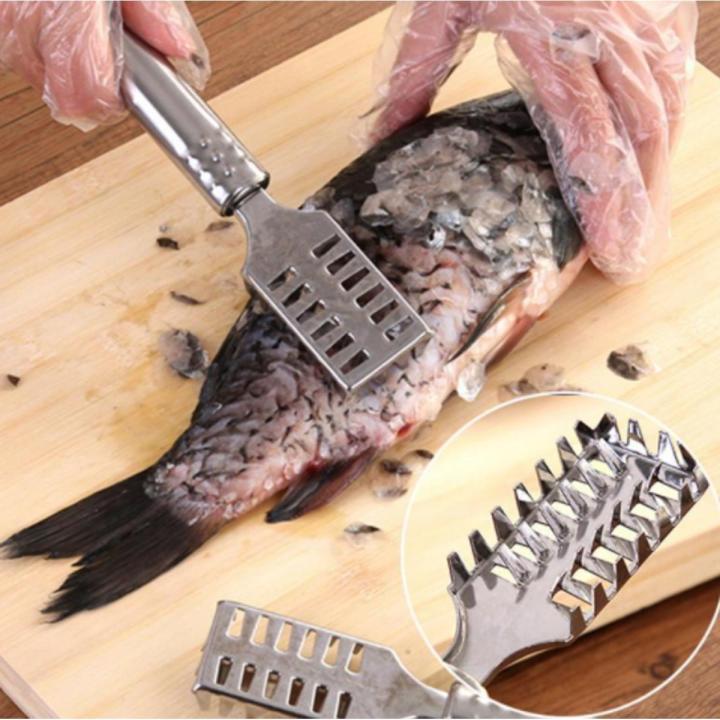 Fish Scraler Fish Scale Scraper Brush, Stainless Steel Fish Scaler | Daraz.com.bd