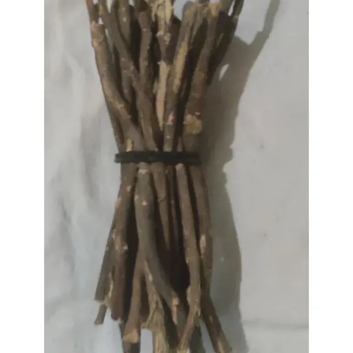 মেসওয়াক জয়তুন নরমাল কোয়ালিটি (Zoytun Miswak Normal) | Daraz.com.bd