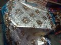 PVC 5d tea table cloth table cover-1mitar/new desin table mate/PVC plastic Soft dining Table cloth Mat Table Cover-1miter48inch. 