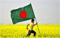 Bangladesh National Flag 3 Feet BY 2 Feet. 