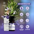 Skin Cafe Rosemary Essential Oil-10ml. 