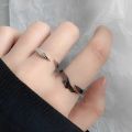 2Pcs Anime Angel Demon Couple Rings for Women Men Fashion Animal Adjustable Open Ring Promise Matching Couple Ring Party Gifts. 