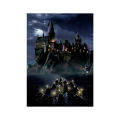 Boats to Hogwarts Magic School Night View Canvas Art Posters and Prints Landscape Painting on the Wall Art Picture Home Decor. 