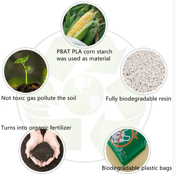 StoBag%2020pcs%20Biodegradable%20Transparent%20Vacuum%20Food%20Packaging%20Bag%20Organizer%20Eco%20Machine%20Sealing%20Candy%20Nuts%20Home%20Custom%20Wholesale%20-%20Image%206