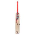 Cricket Bat Pakistani HS - Multi Color.