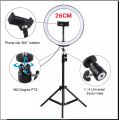 12" Ring Light with Boom Arm, LED Circle Light Desk Tripod Stand with Wireless Remote Control for TikTok/Makeup/Vlog/Streaming Online/Meeting.