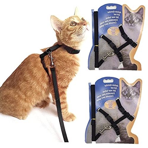 Cat harness belt and Leash Strong Nylon Black Rope Adjustable Kitten Collar