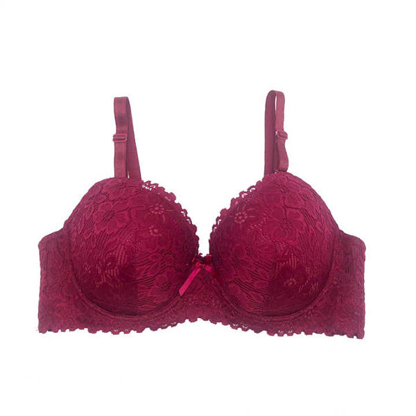 Premium Quality Women Clothing Net Soft Bra Comfortable Skin Friendly Stylish Bra