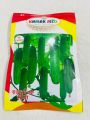 Perennial Cucumber 80+ Seeds - Perennial Cucumber Seeds - 1pack.