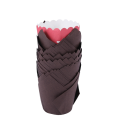 800Pcs Tulip Cupcake Baking Cups, Muffin Baking Liners Holders, Rustic Cupcake Wrapper, Brown, White and Nature Color. 