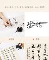 Baoke Calligraphy Brush Pen Set Chinese Brush with Black Ink Refill. 