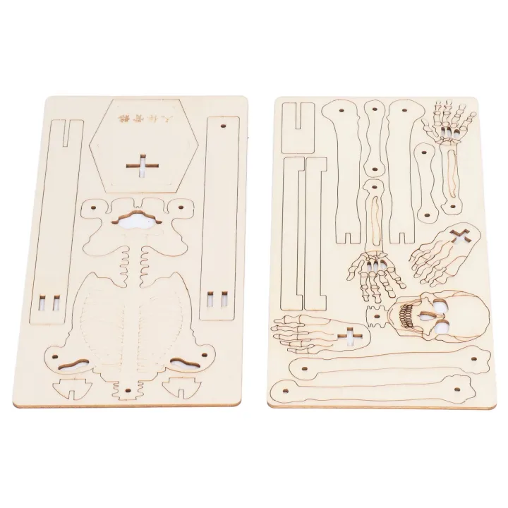 Human%20Skeletal%20Assemble%20Model%20Composite%20Wood%20DIY%20Skeleton%20Crafting%20Educationa%20US%20-%20Image%207