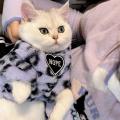 Leopard Print Winter Cat Clothes 2-Legged Thickened Warm Soft Easy To Wear Pet Boys Girls Tiny Cat Outfits.