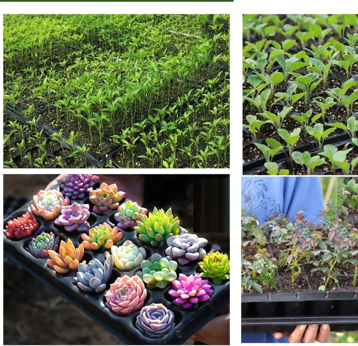 Seed%20Tray%20128%20cells-Plant%20Seeds%20Grow%20Nursery%20Pots%20Tray%20Vegetable%20Plastic%20Nursery%20Tray%20Seedling%20Tray%20128%20Cell%20-%20Image%203