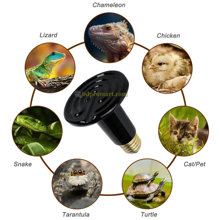 100W%20Ceramic%20Heater%20bulb%20with%20Ceramic%20Holder%20-%20Ceramic%20Emitter%20Bulb%20Light%20Lamp%20For%20Poultry%20Reptile%20Pet%20Brooder%20-%20Image%202