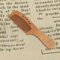 Wooden Hair Brush/Comb/Chiruni with Handle 1p. 