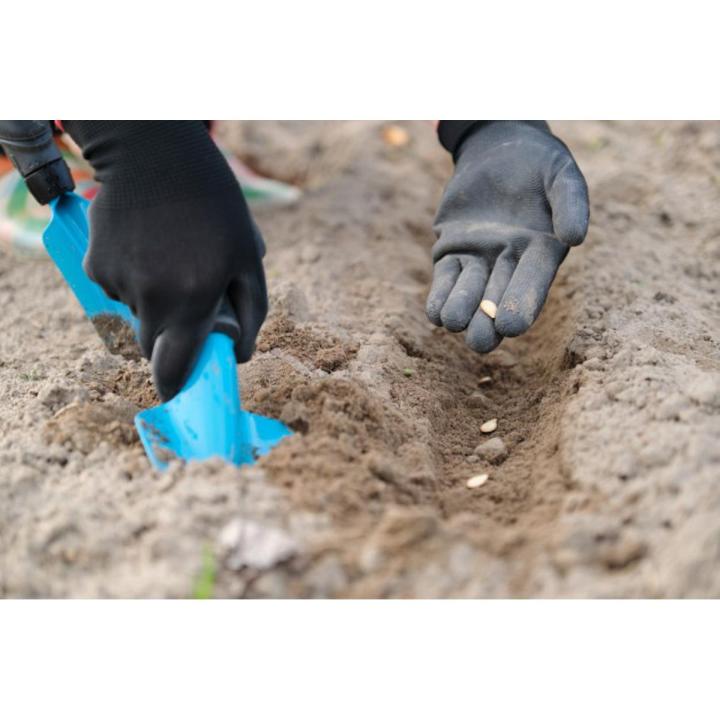 Hand%20Gloves-1%20Piece%20-%20Image%205