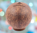 Coconut Shell Made Money Saving Bank.