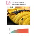 4Pcs/Set Coral Flannel Quilt Cover & Bed Sheet & 2Pcs Pillowcases Winter Bedclothes Solid Color Home Bedroom Bedding Supplies. 