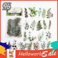 New HelloWorld Floral Journaling ticker Tranparent PET Vintage Natural Flower Planner ticker. 