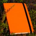 Daily Journal Orange Notebook with Elastic Band. 