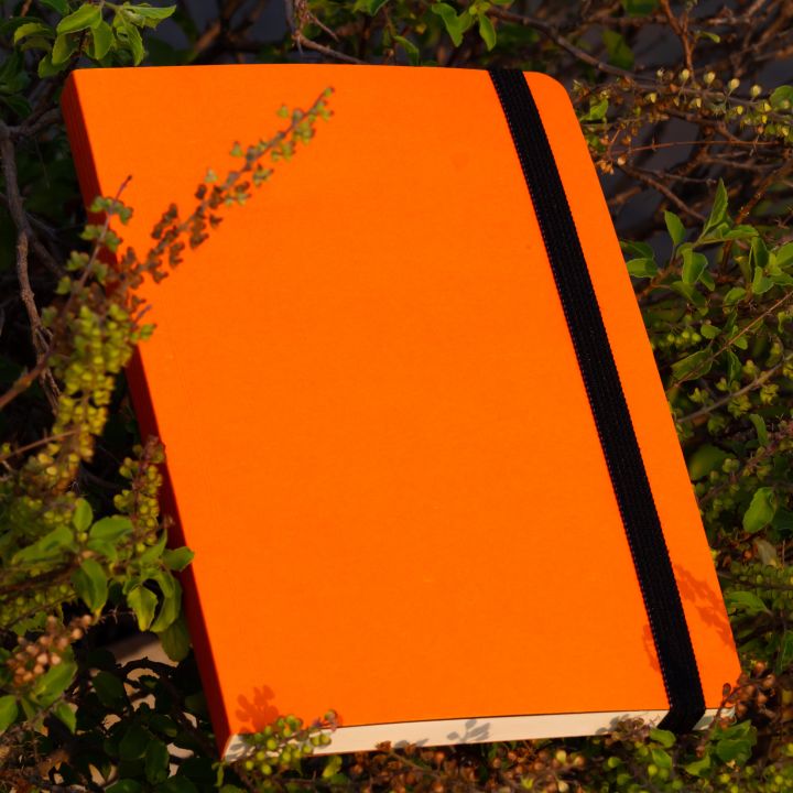 Daily Journal Orange Notebook with Elastic Band